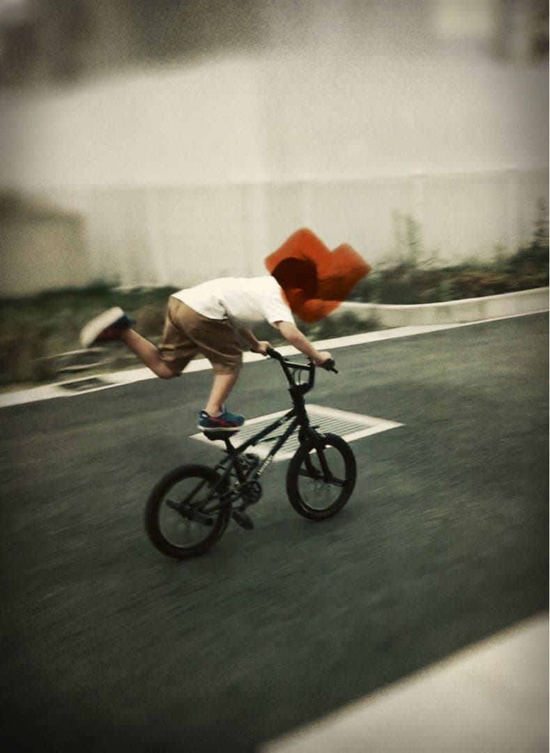 ニック　BMX ARES BIKES STN16 バイク マッドブラック