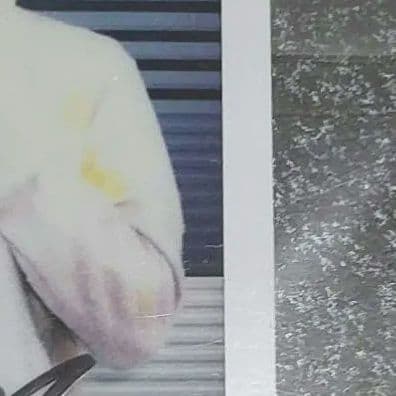 Stray Kids スキズ フィリックス felix チェキ サイン 未開封品