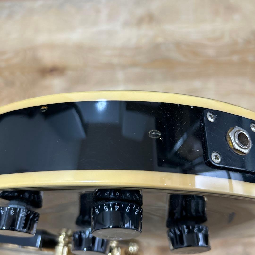 Busker's バスカーズ BLC300 レスポールカスタム エレキギター