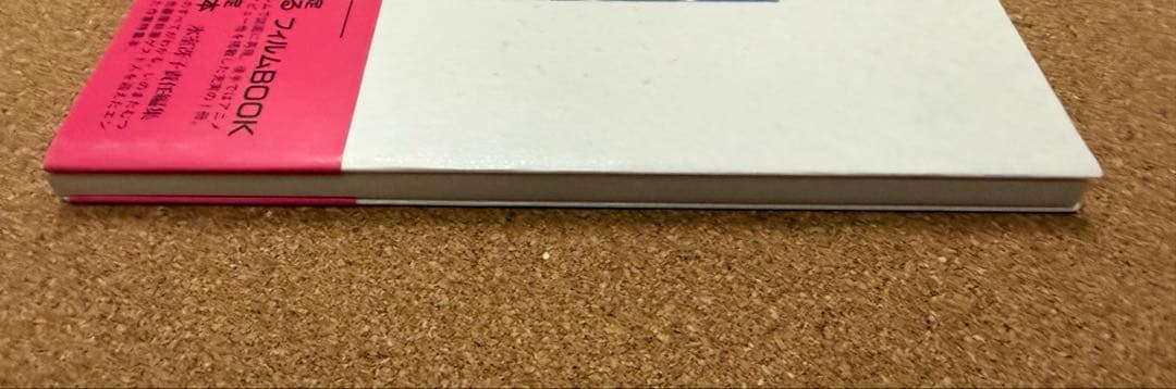 僕が好きなひとへ 氷室冴子 近藤勝也 海がきこえる 徳間書店