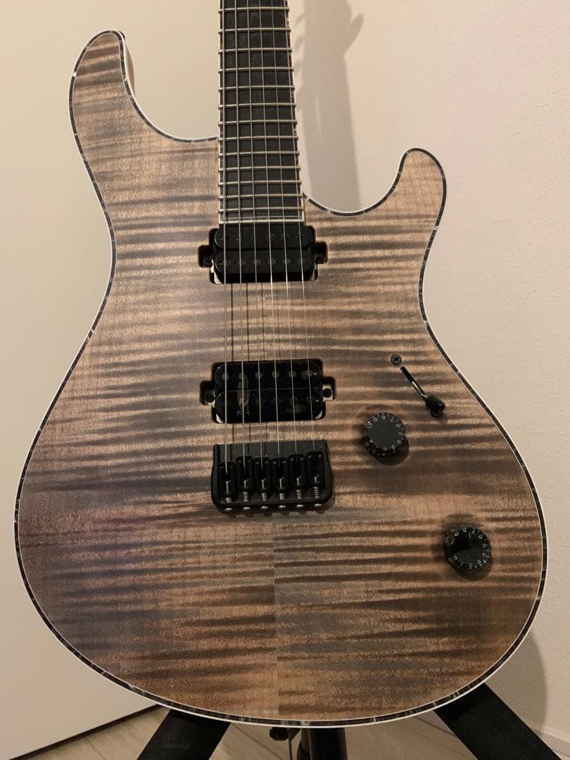 ギター MAYONES Regius 6K [custom order model]