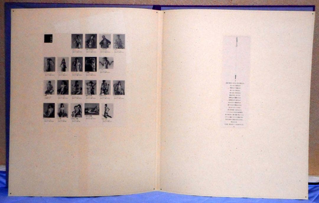 【値下】高塚省吾 素描集『女たち』（芸術新聞社）外箱付き 極美品 1993年初版