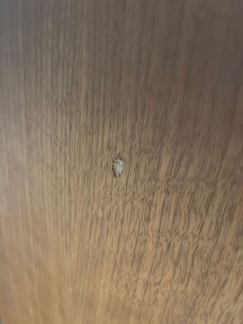 TANNOY Stirling HE スピーカー