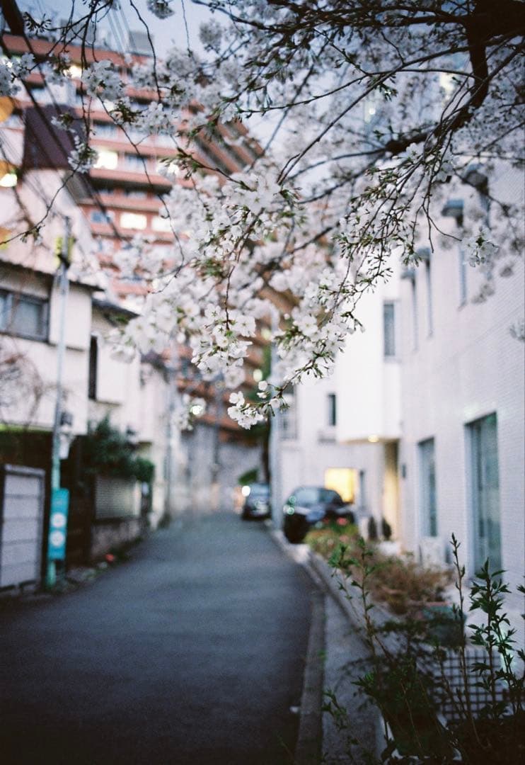 Light Lens Lab/35mm F2.0/Leica/周八枚