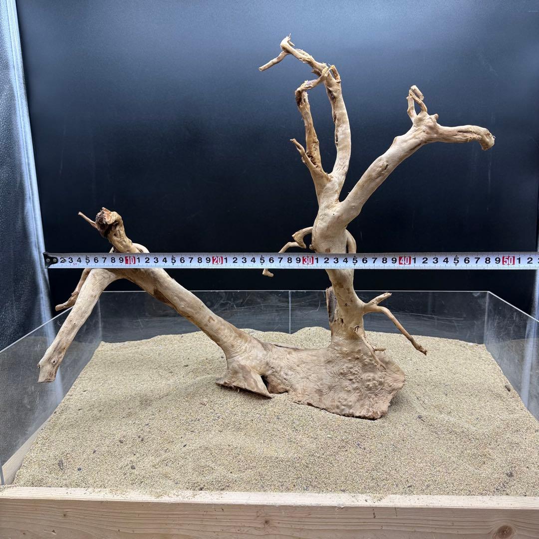 MDW-7161 特大ブランチウッド3本セット　流木　枝流木　アクアリウム