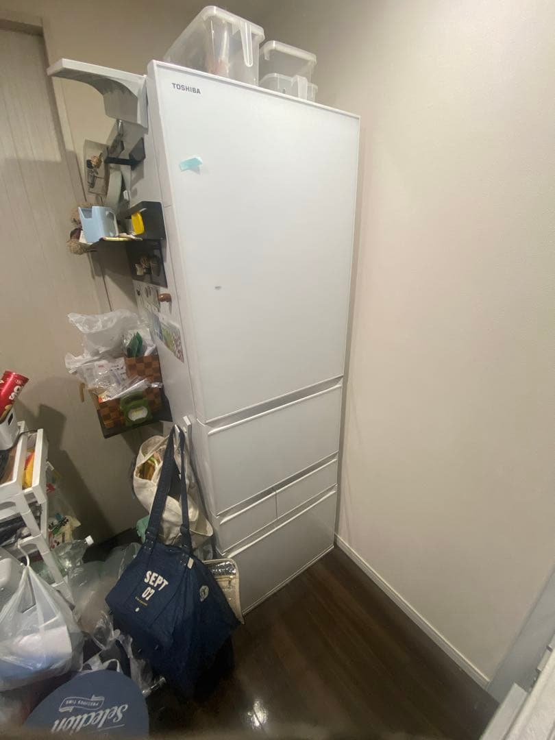 TOSHIBA 冷蔵庫 ホワイト　GR-T41GXH EWべジータ