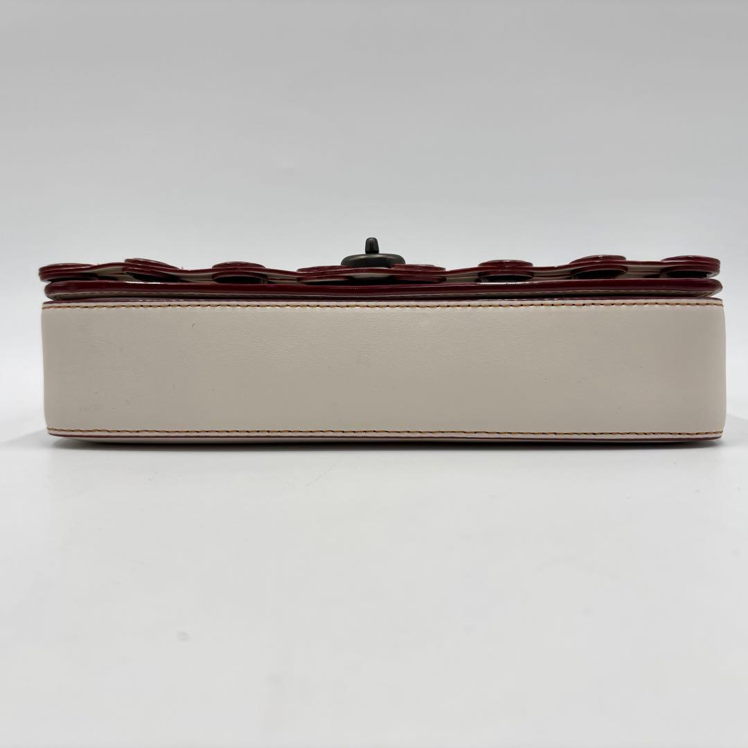 coach コーチ ショルダーバッグ 59126 ディンキーリング 希少