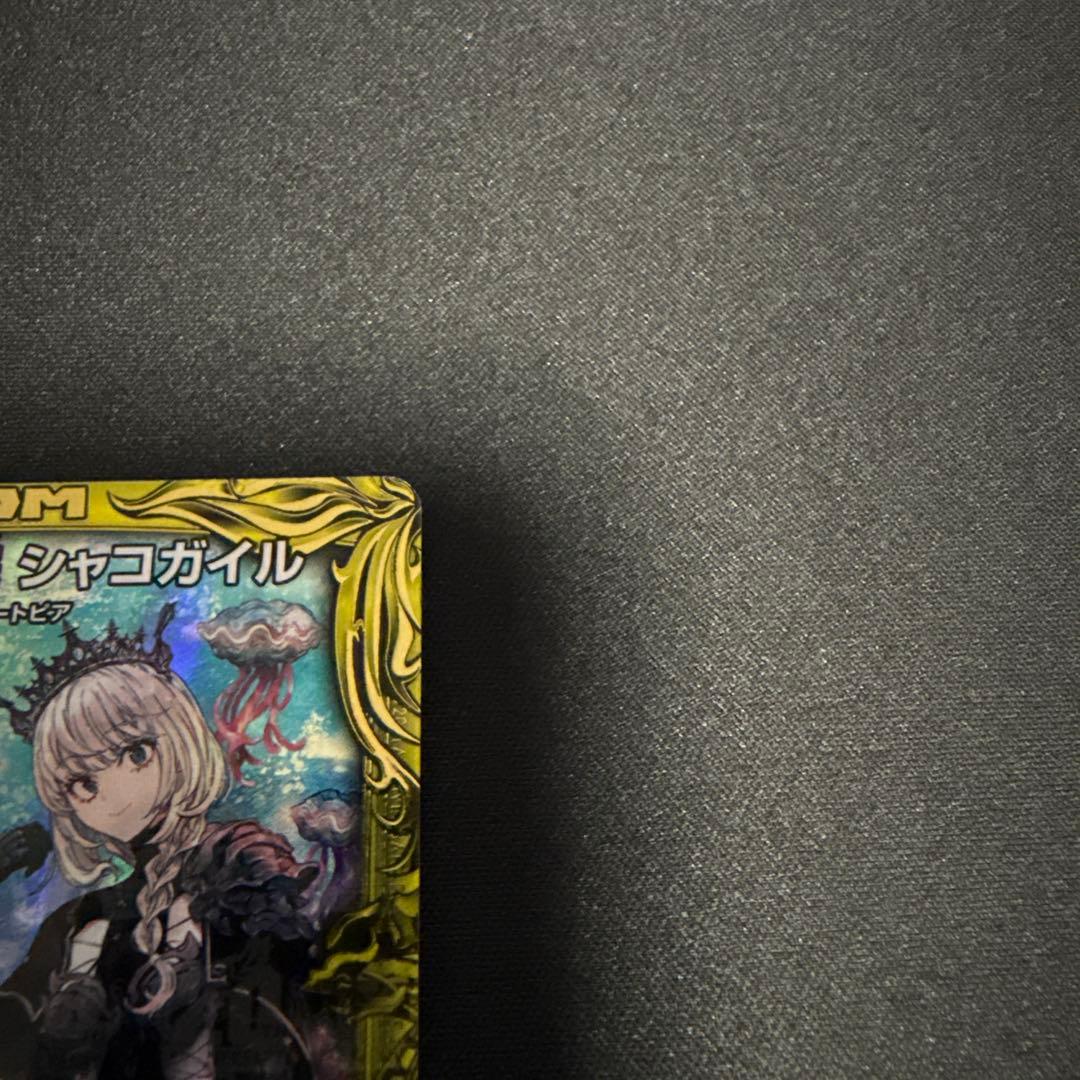 水上第九院シャコガイル b