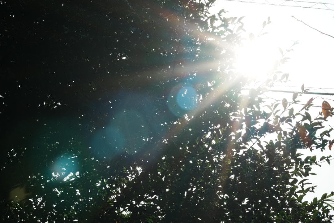 惚れるレンズ『家族が輝く奇跡のボケ味』SONY SEL135F18GM