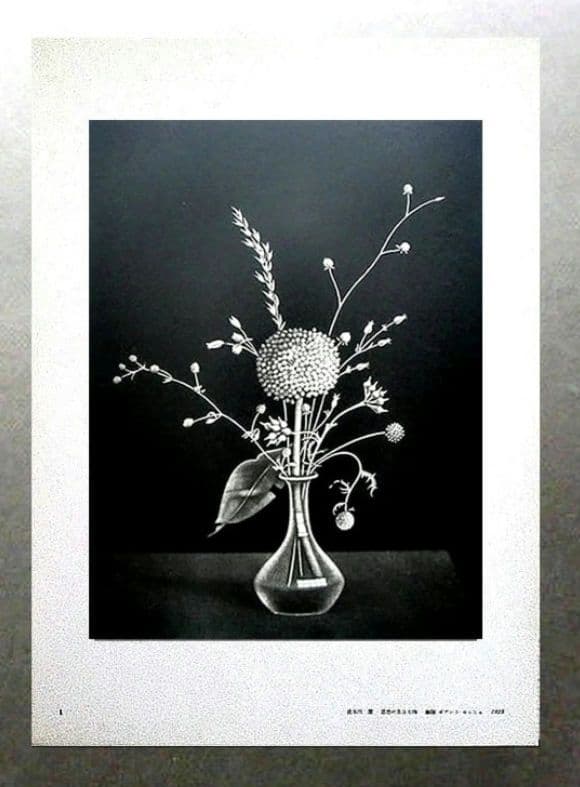 #◆長谷川 潔 銅版画２点美品「 瓶に刺した種草 」「静物画・仮装したる狐」