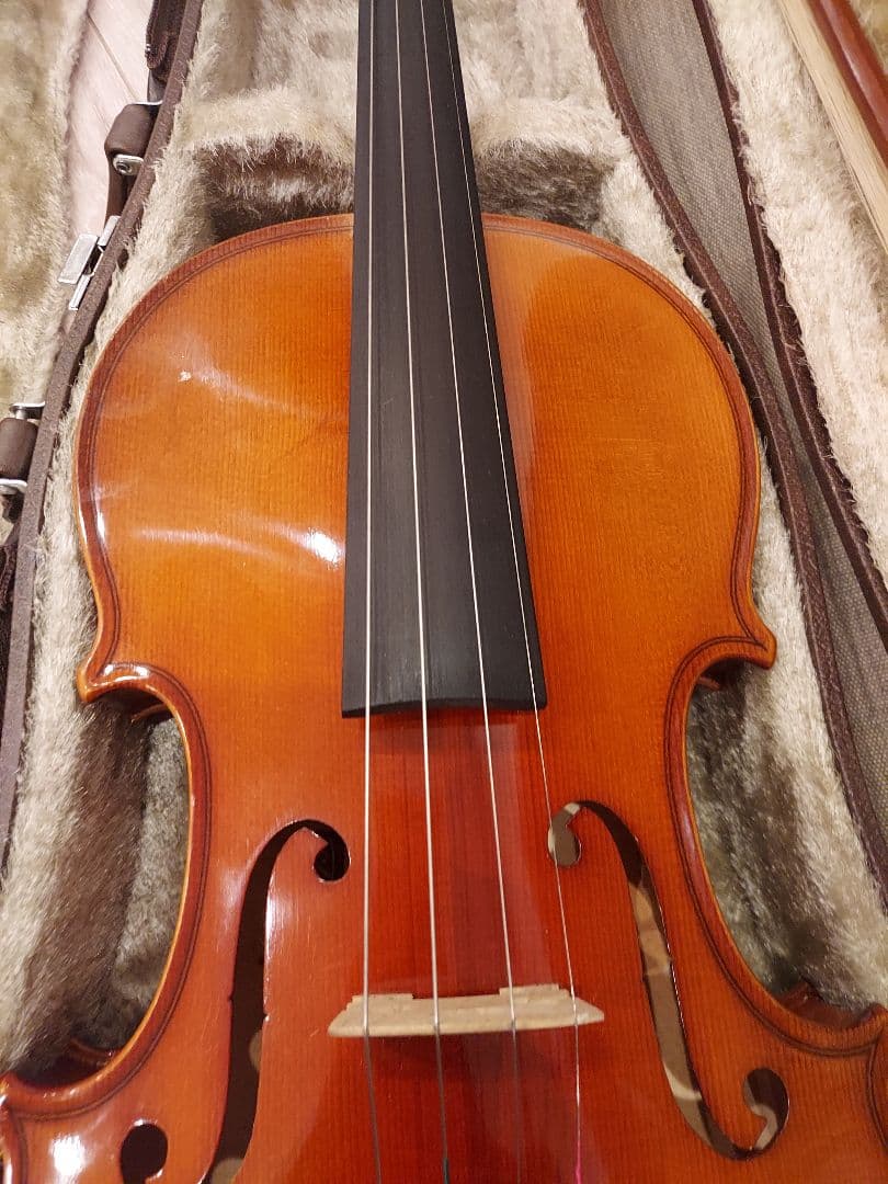 Roderich Paesold 803 4/4 1995 バイオリン セット