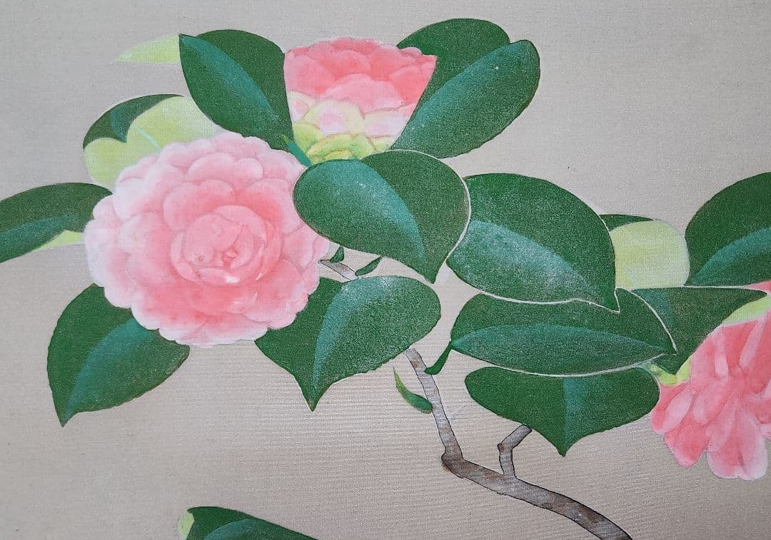 【乙女椿図】福田翠光 2678 共箱二重箱太巻 掛け軸 肉筆