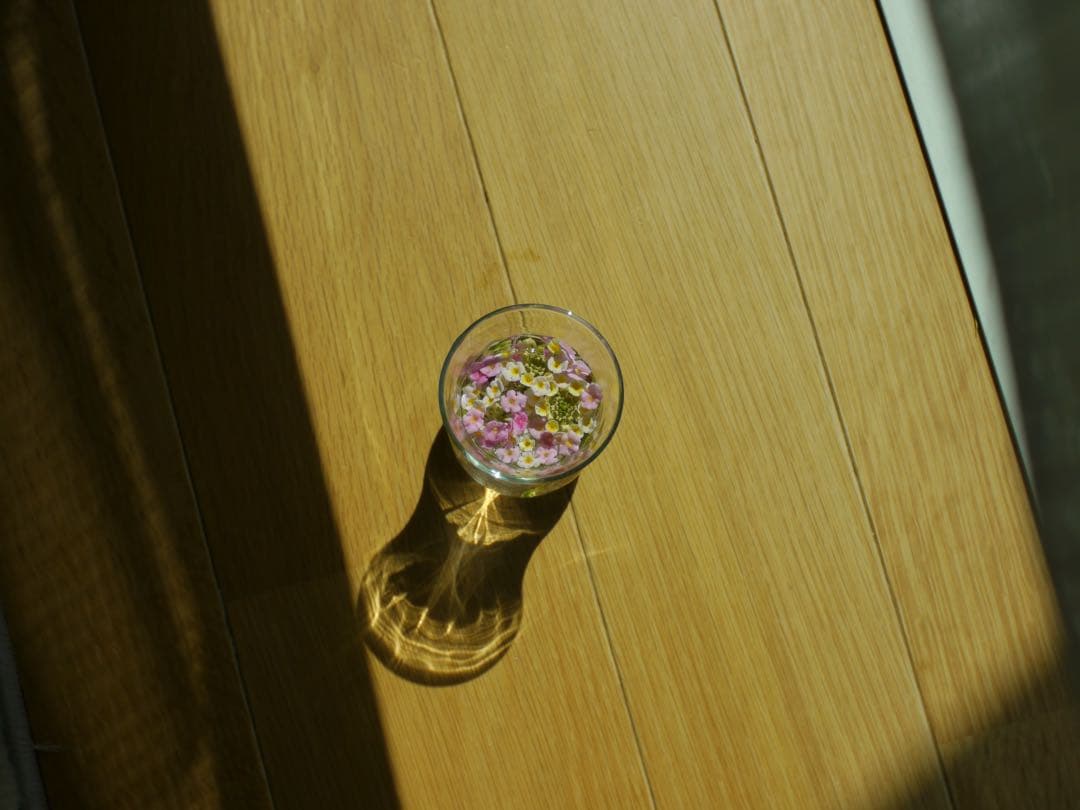 LUMIX GH1 ゴールド ミラーレス　ニコンオールドレンズf28 1:3.5