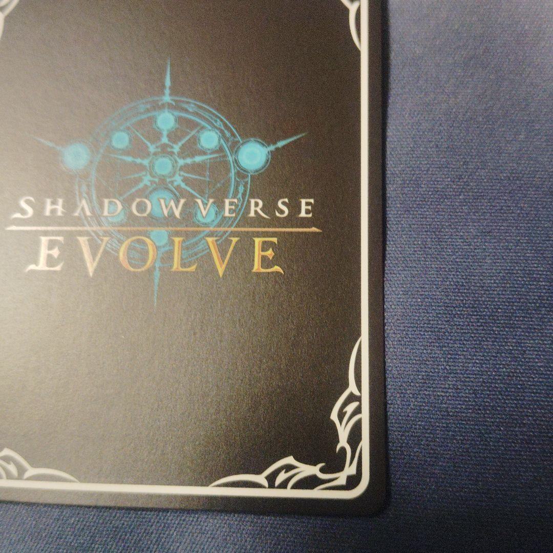 エボルヴ　女神は朝焼けの海に　新田美波　sp