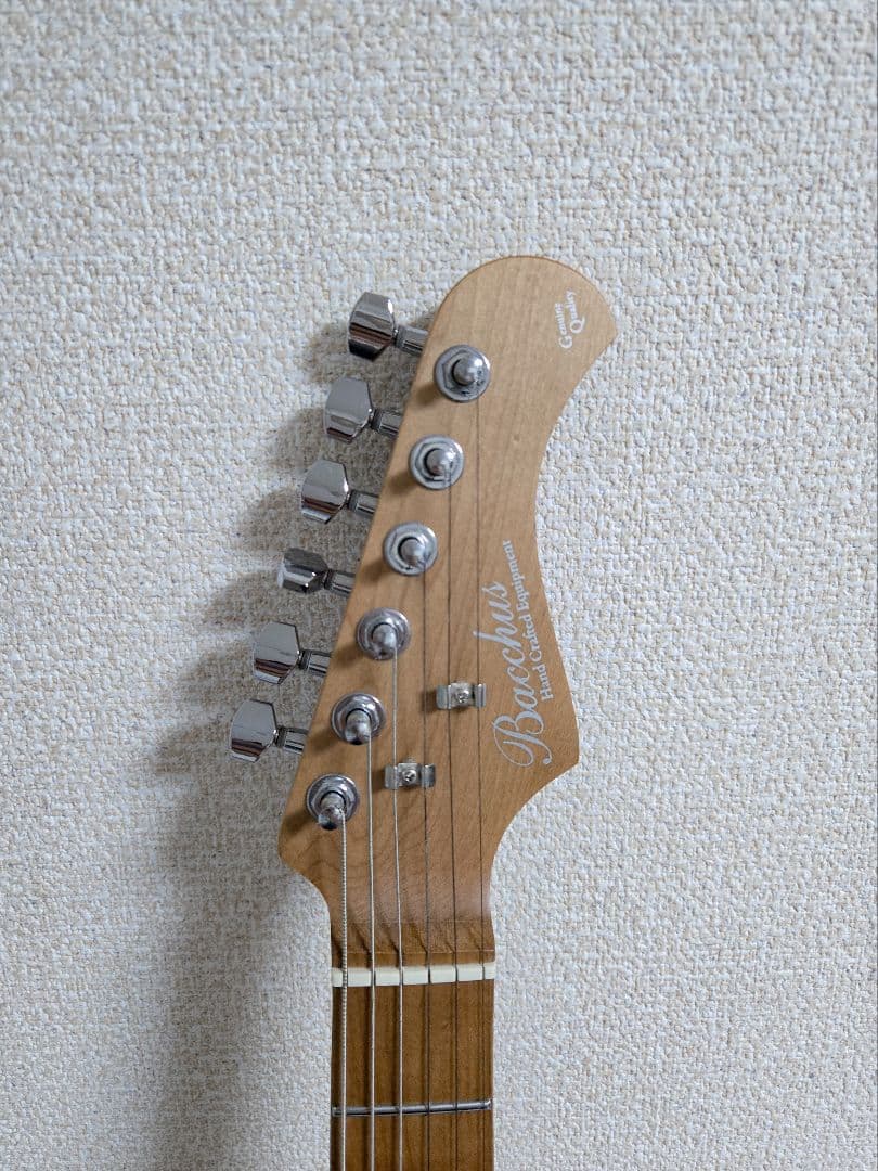 Bacchus TACTICS-CTM25 RSM/M FR エレキギター