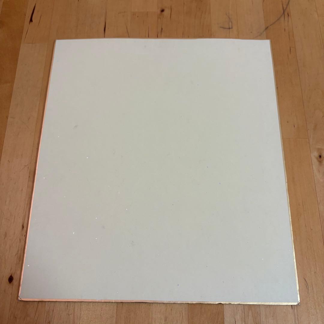 ウッチャンナンチャン　サイン　色紙　(9