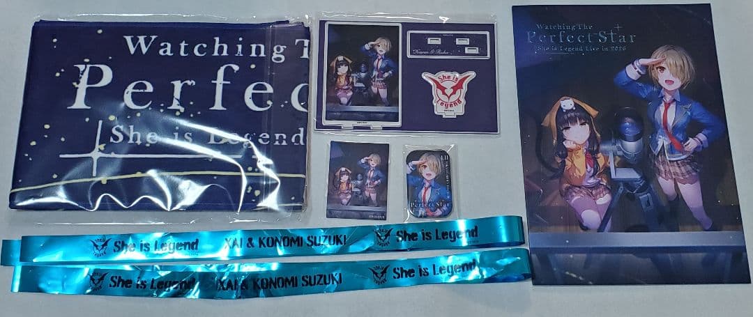 She is Legend　東京公演　アクリルスタンド　パンフレット　ステッカー