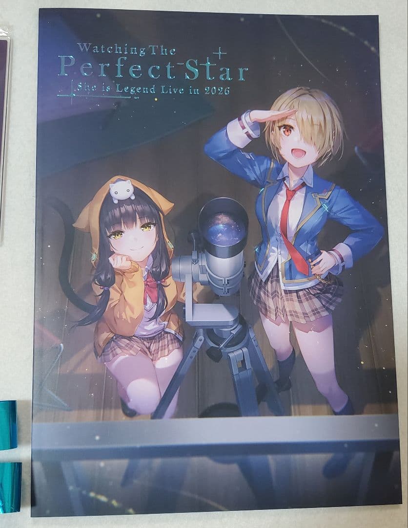 She is Legend　東京公演　アクリルスタンド　パンフレット　ステッカー