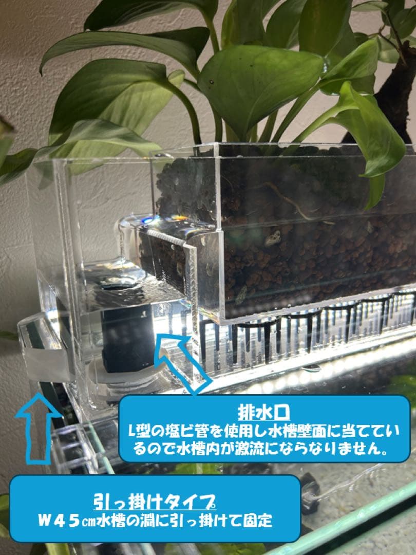 上部濾過槽＋ガラス水槽セット　アクアリウム水槽アクアポニックス仕様上部フィルター