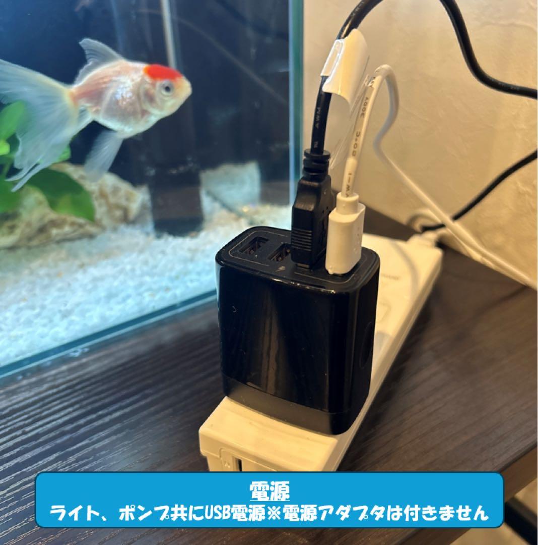 上部濾過槽＋ガラス水槽セット　アクアリウム水槽アクアポニックス仕様上部フィルター