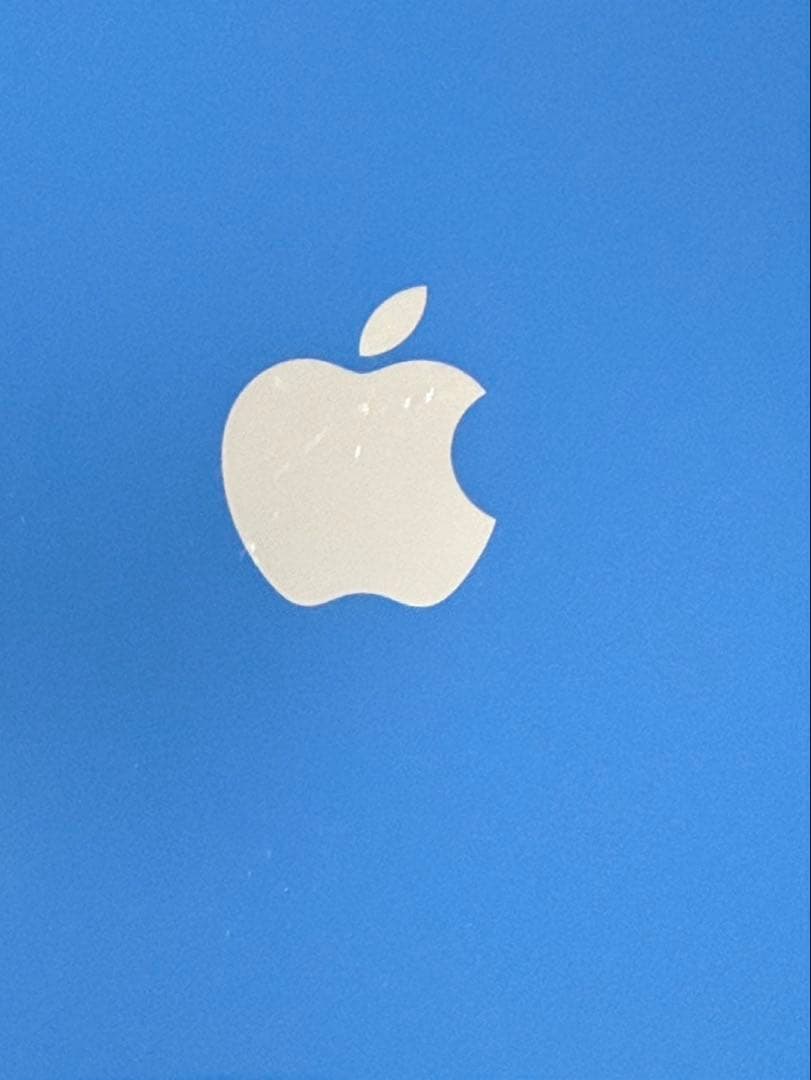 Apple iPhone 13 本体 256GB