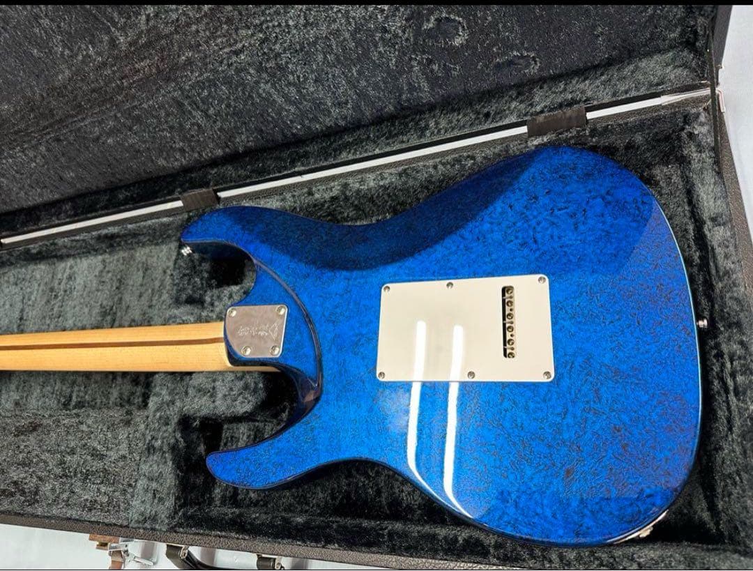 フジゲン　EOS 限定カラー