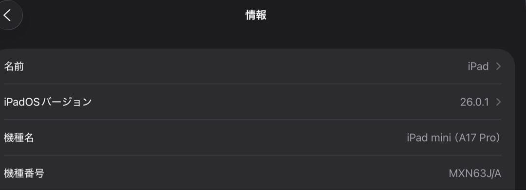 iPad mini 7 (A17Pro) 128GB スペースグレー