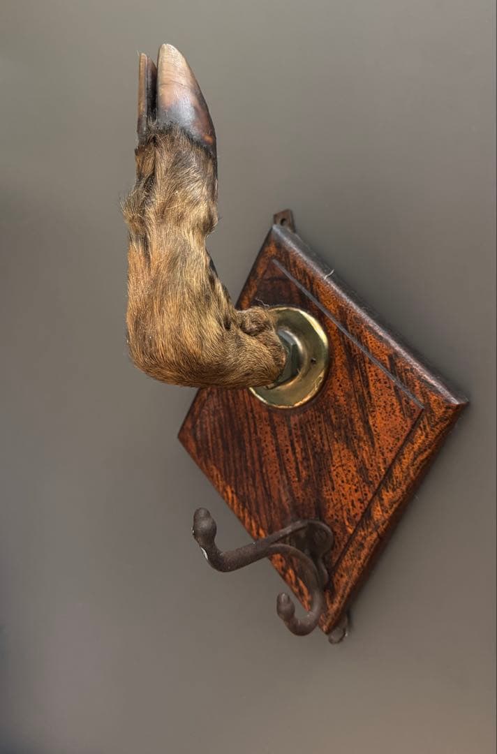 アンティーク★ 鹿足壁掛け　ウォールハンガー　undercover