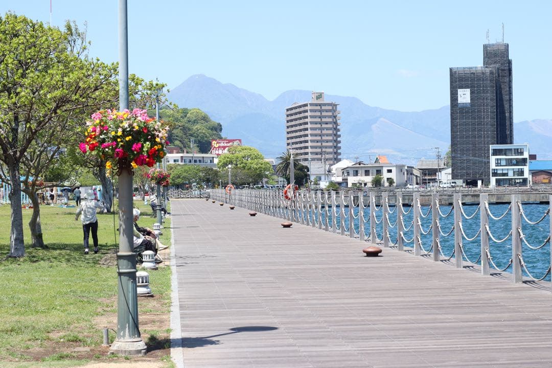 ★ OLYMPUS M-1 + ★ \"M-SYSTEM\" 標準レンズ 50mm