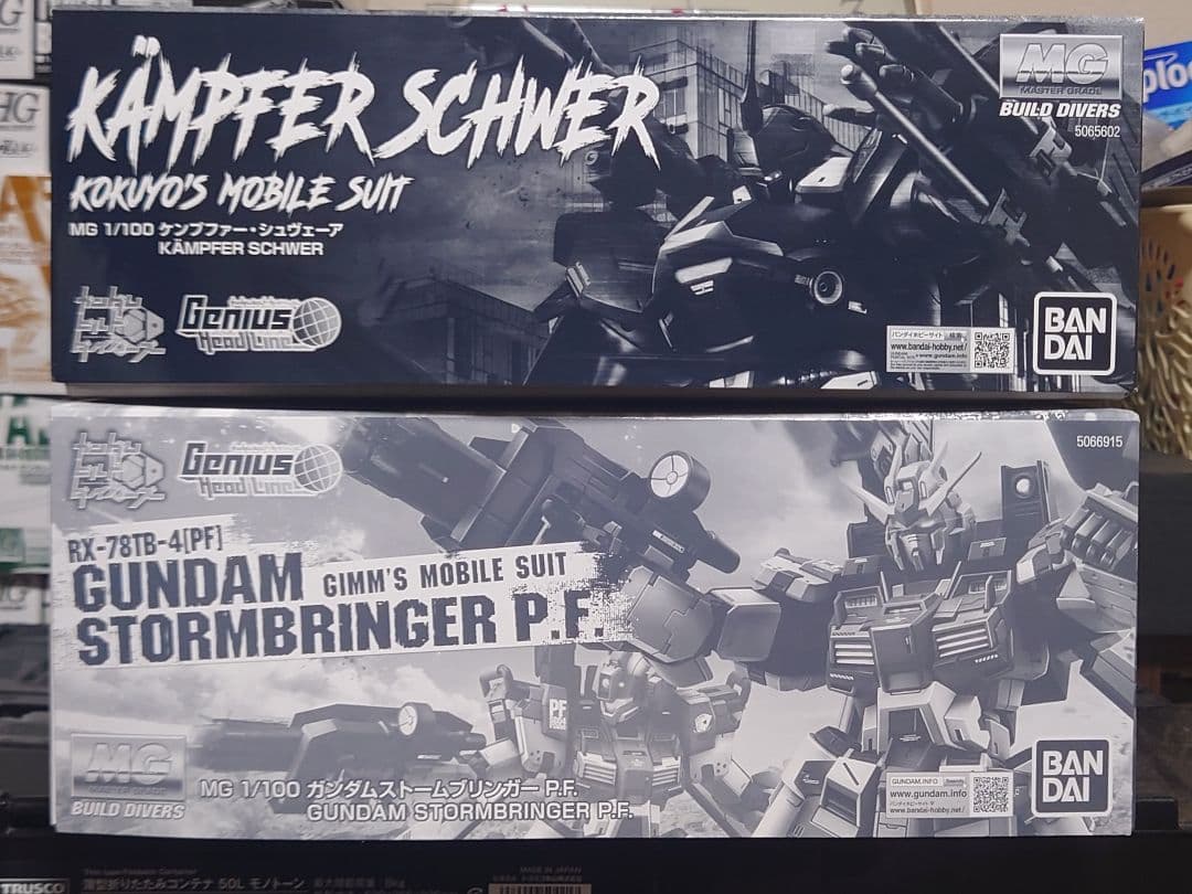 ☆値下げ☆MG ガンプラ2体セット