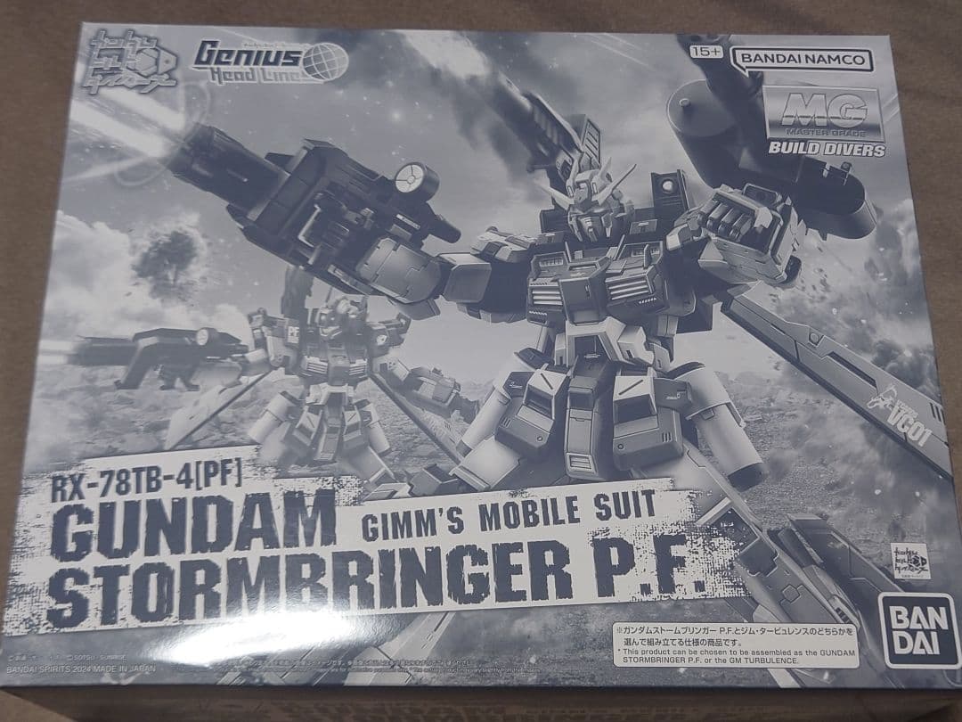 ☆値下げ☆MG ガンプラ2体セット