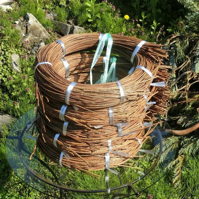 Marron　青森岩木山採取　あけび蔓　150cm～ 5kg