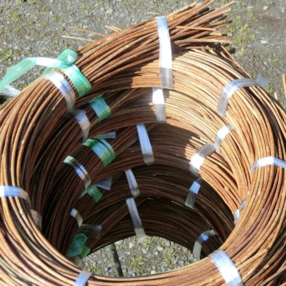 Marron　青森岩木山採取　あけび蔓　150cm～ 5kg