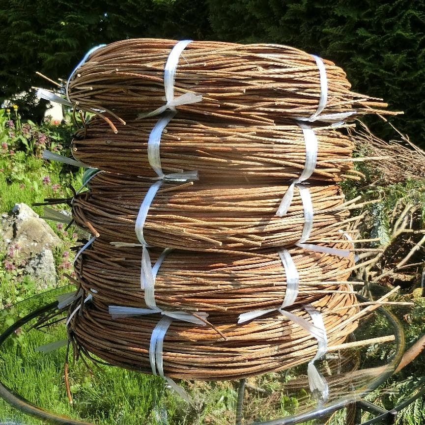 Marron　青森岩木山採取　あけび蔓　150cm～ 5kg