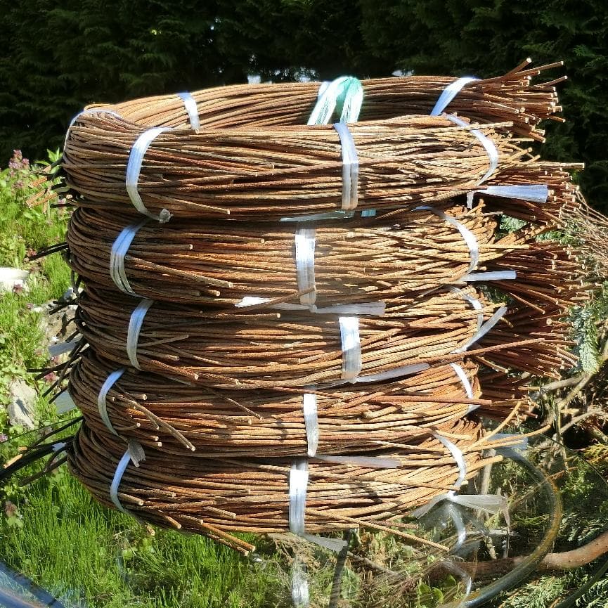 Marron　青森岩木山採取　あけび蔓　150cm～ 5kg