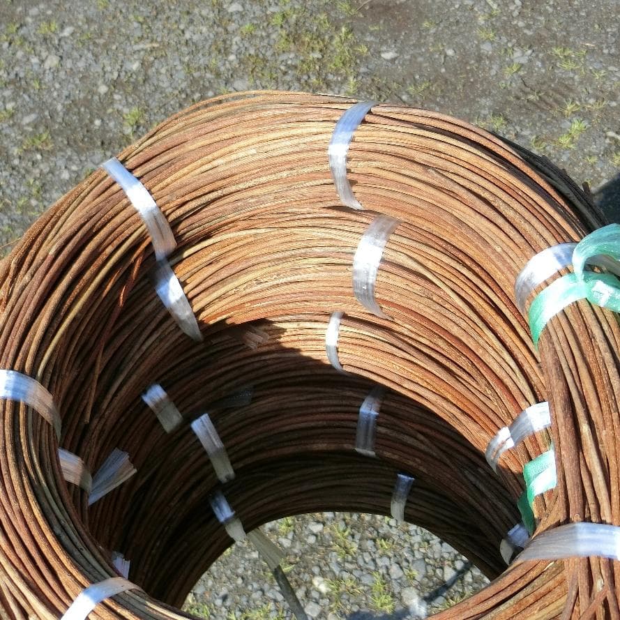 Marron　青森岩木山採取　あけび蔓　150cm～ 5kg