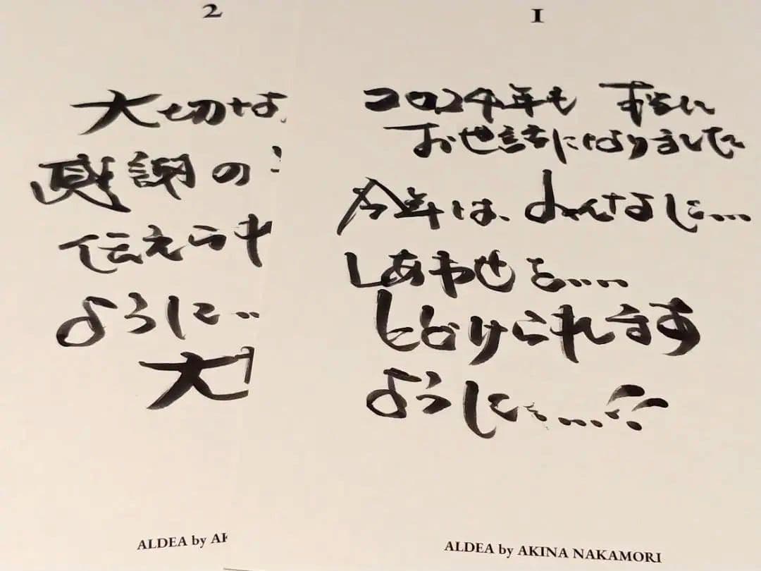 FC限定 中森明菜 2025 カレンダー AKINA ALDEA ファンクラブ