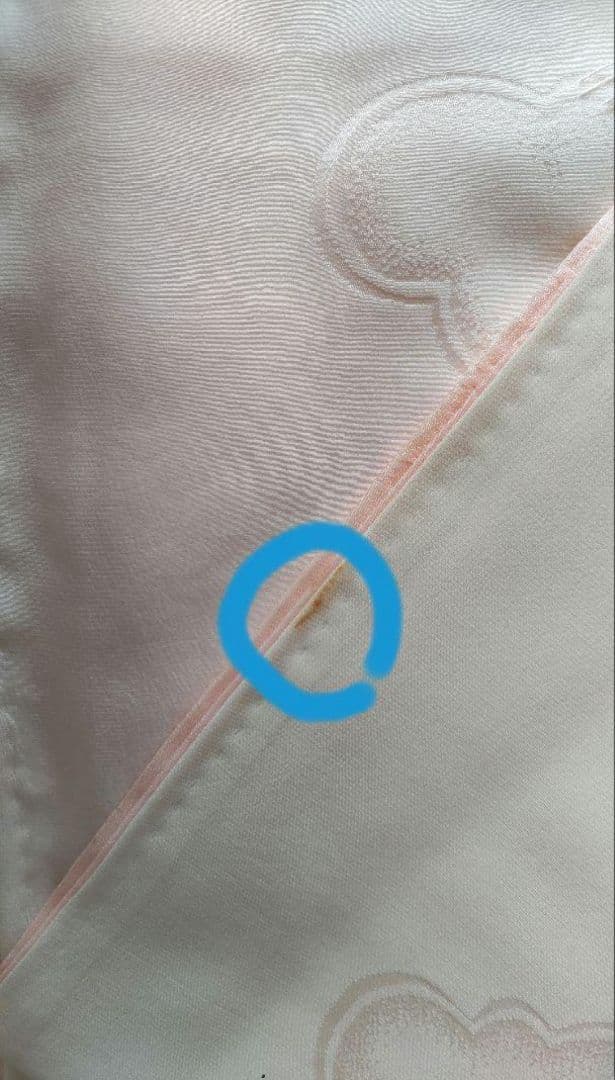 ★紅型振袖/帯/帯揚/帯締/伊達襟/５点セット★おまけ付