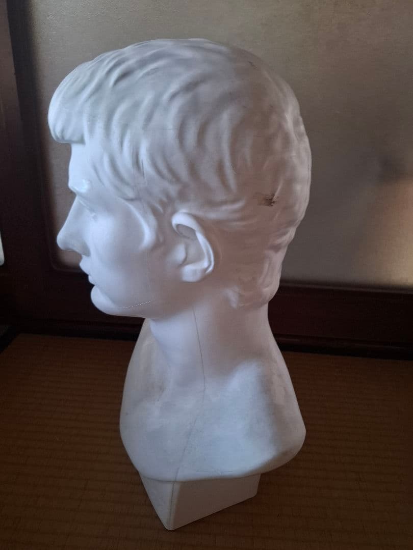 ブルータス　石膏像　デッサン