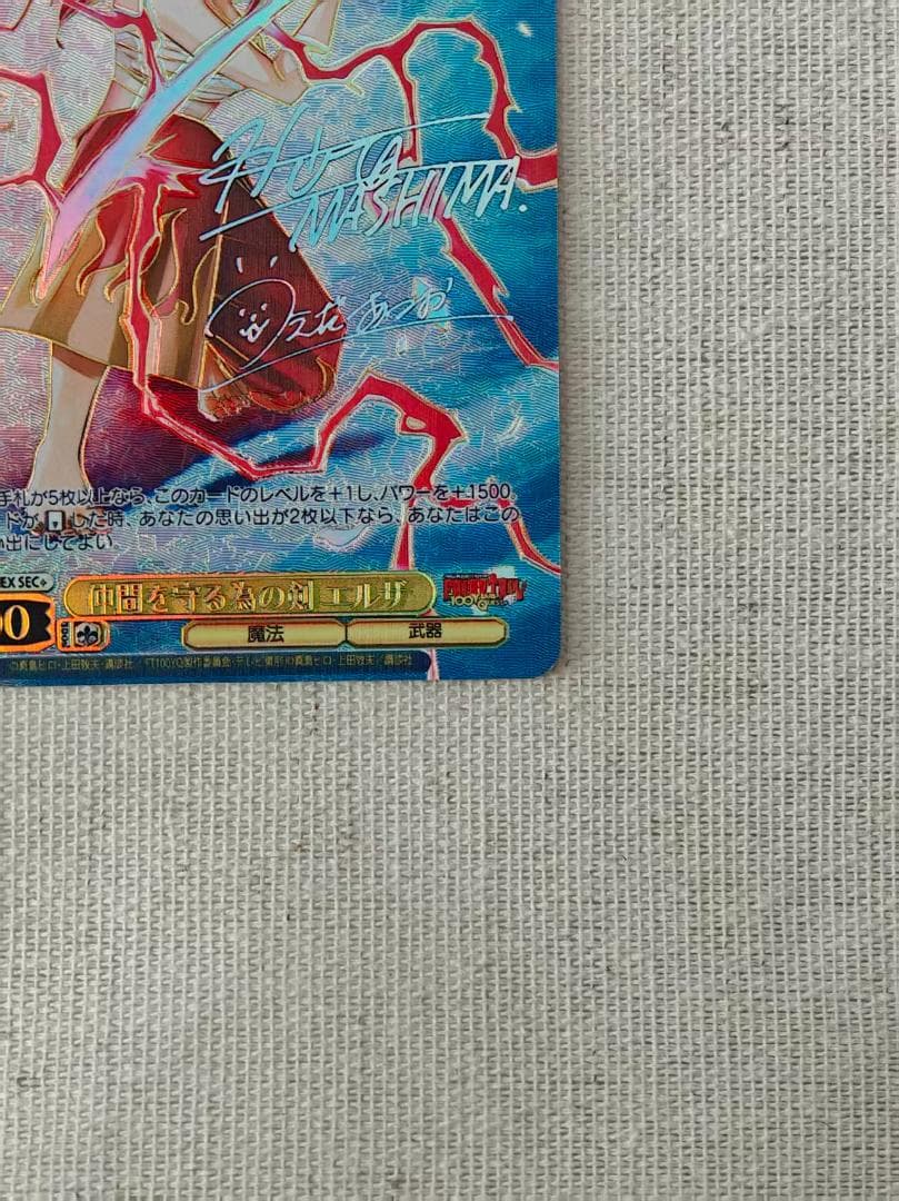 FAIRYTAIL 仲間を守る為の剣エルザ SEC