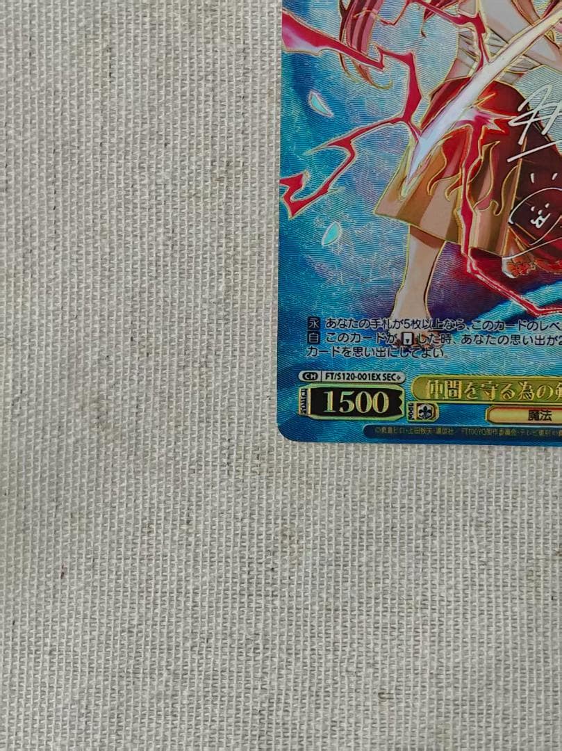 FAIRYTAIL 仲間を守る為の剣エルザ SEC