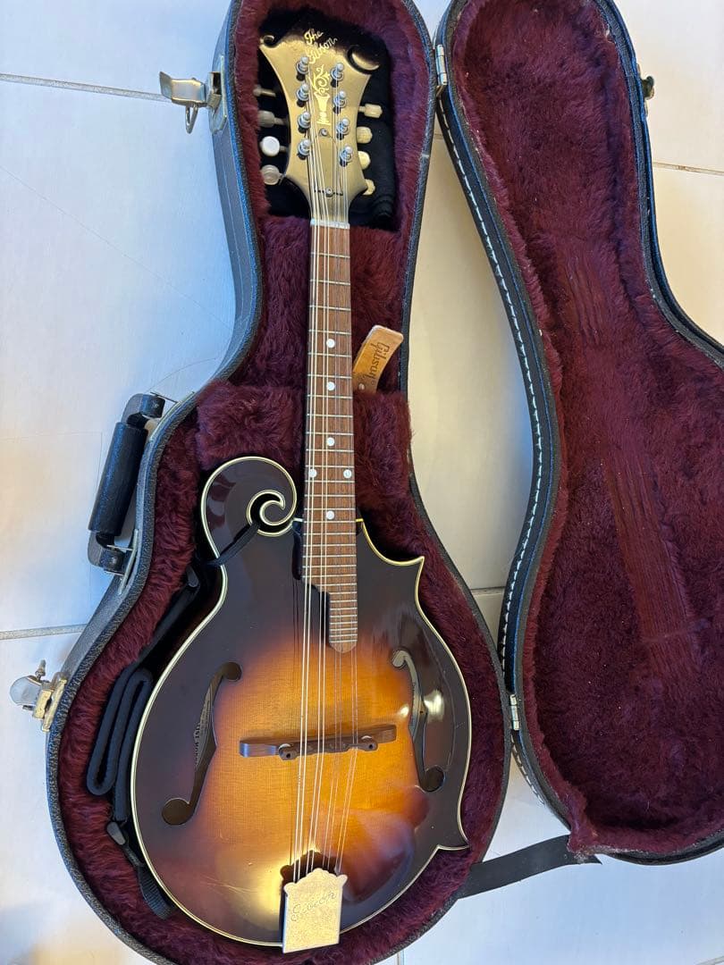 Gibson F-5g フラットマンドリン