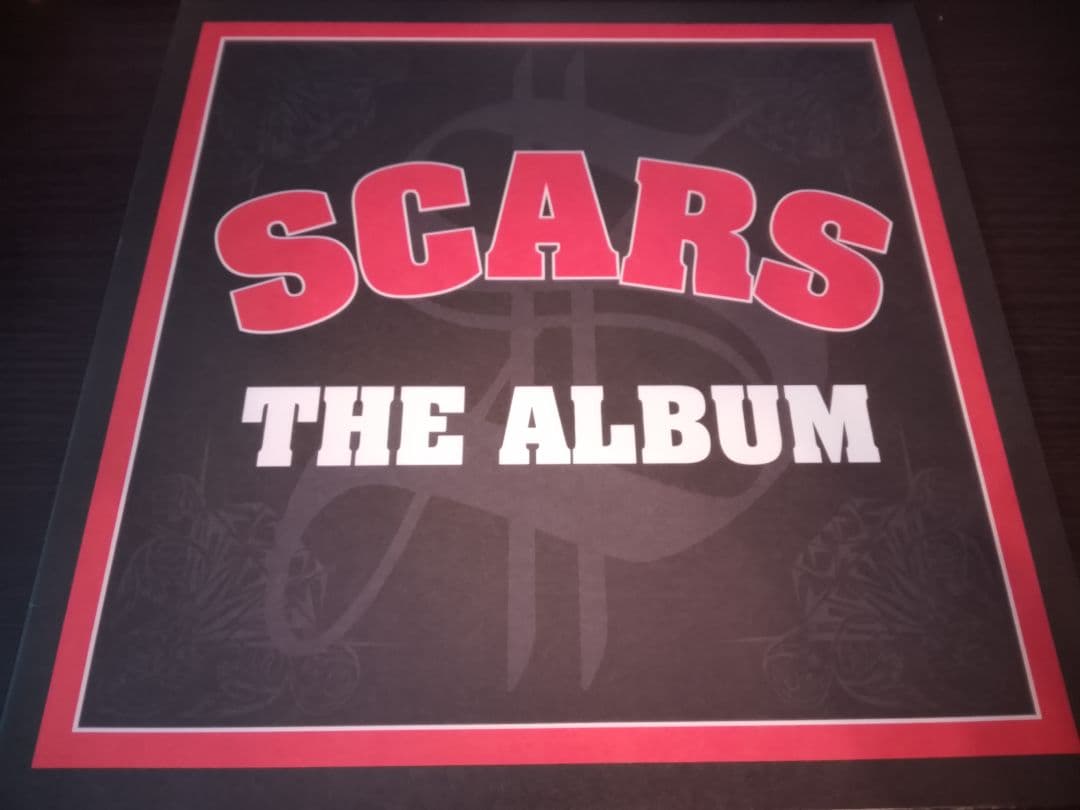 邦楽 SCARS THE ALBUM LP