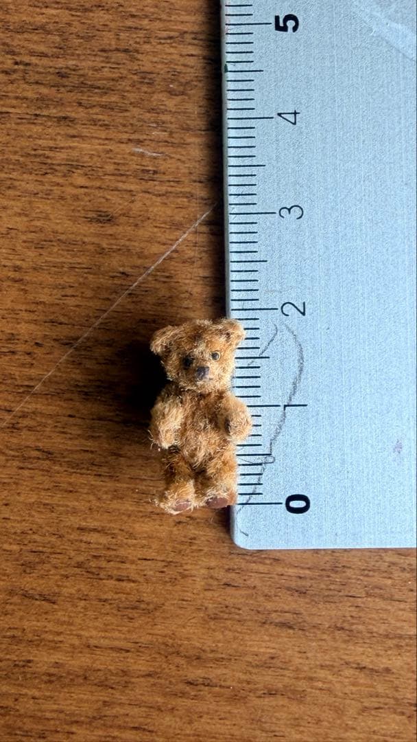 モールベア/テディベア/国本雅之様/熊三昧　ミニチュア ケース付き