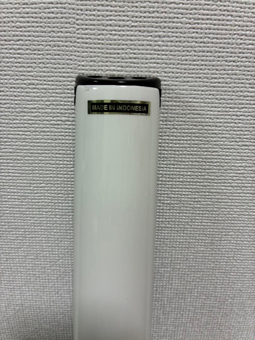 Spirit by Steinberger スタインバーガー