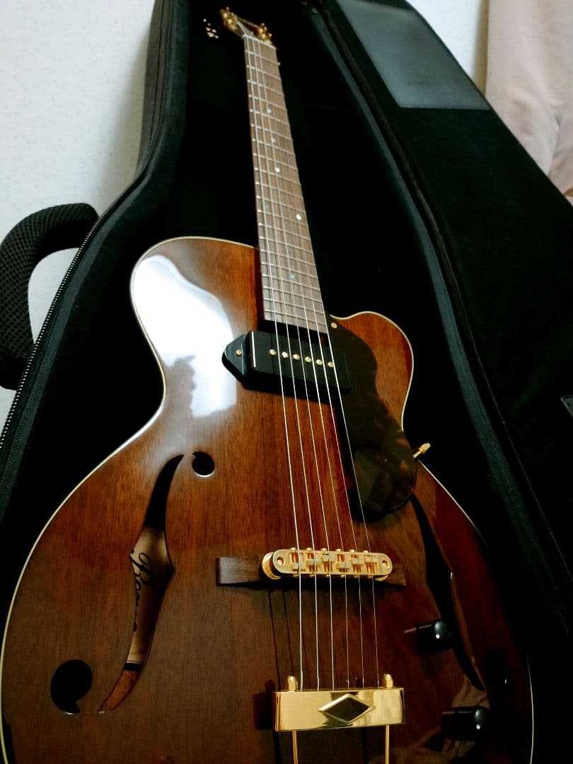 ロゼオ ギター Rozeo Ladybug フルアコースティック 美品