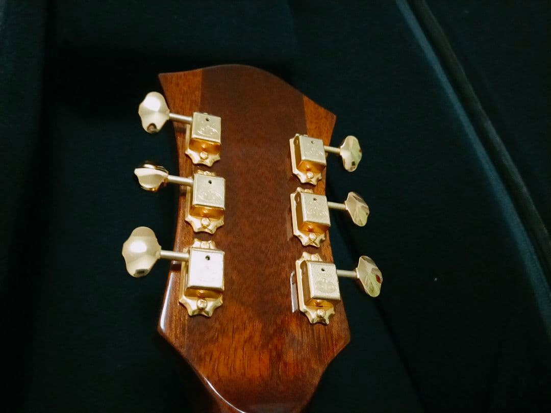 ロゼオ ギター Rozeo Ladybug フルアコースティック 美品