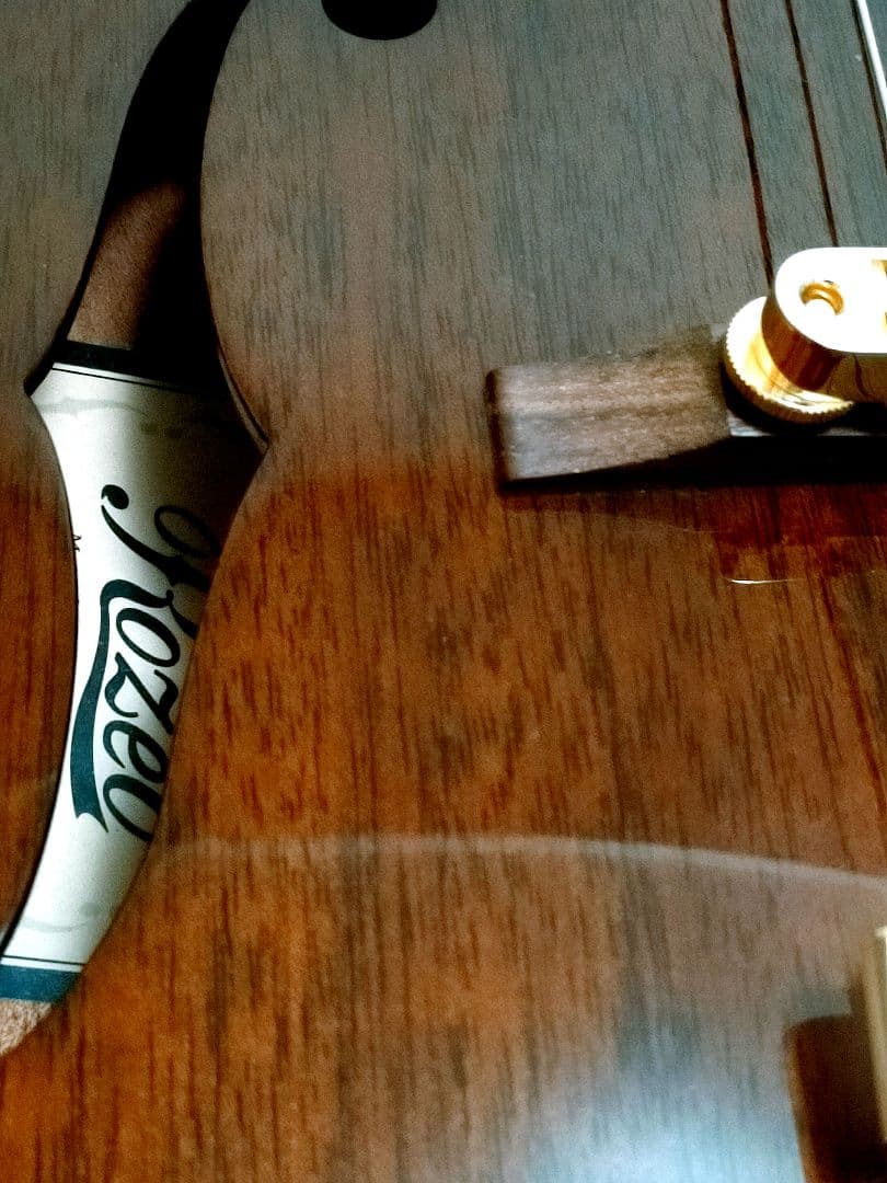 ロゼオ ギター Rozeo Ladybug フルアコースティック 美品