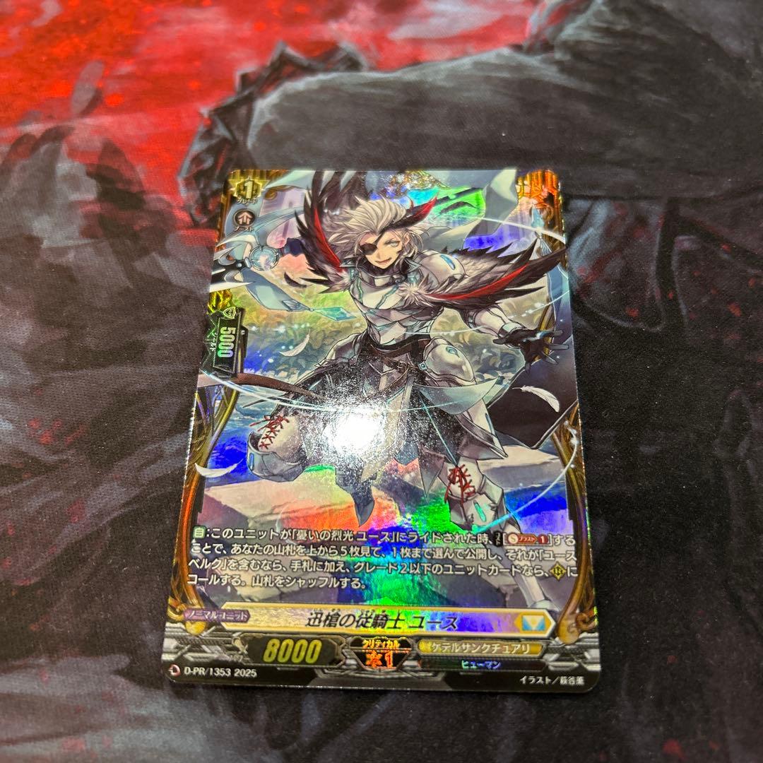 迅槍の従騎士　ユース　fr