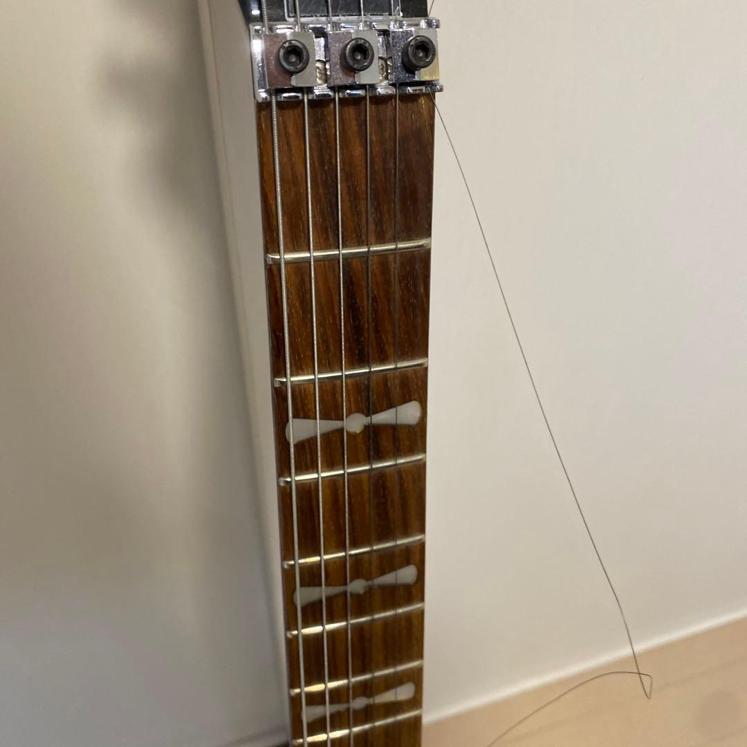 【ラン様用ページ】ランディローズ　ポルカドットフライングv フロイドローズ